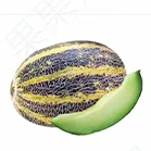 黄河蜜瓜